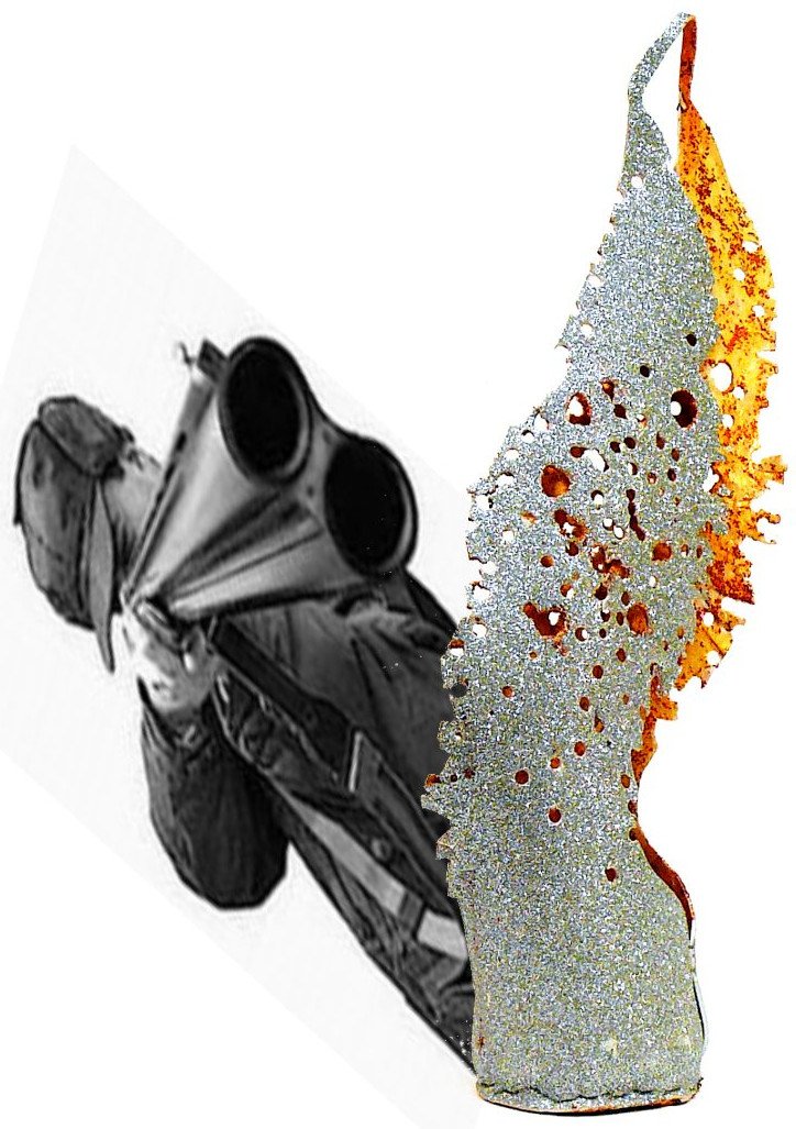 ala-impallinata